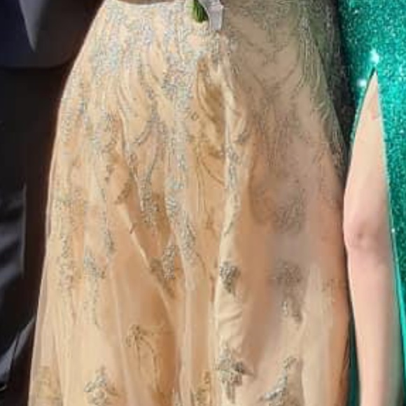 Plus size prom dress - Picture 4 of 6